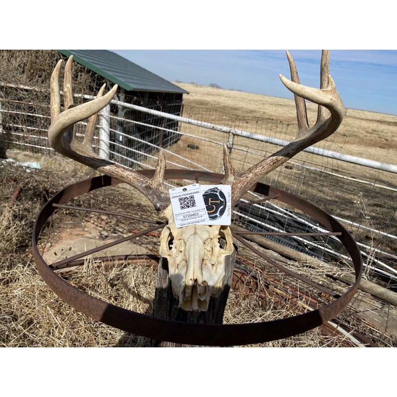 Oklahoma hunting Tag States Arkansas