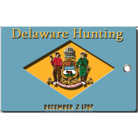 Delaware hunting tag
