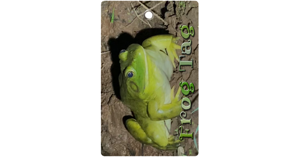 Bullfrog Tag