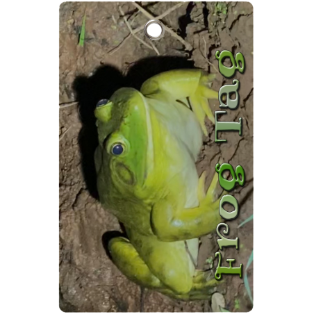 Bullfrog Tag